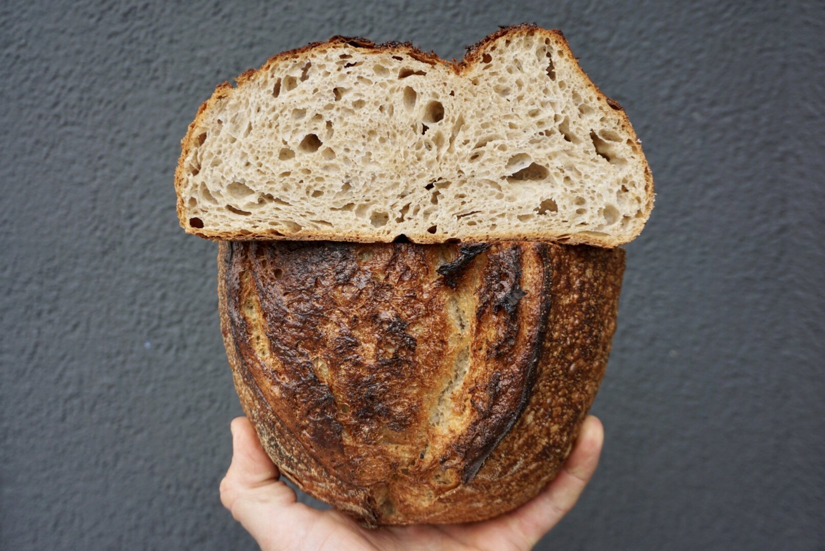 25% Whole Grain Blend Sourdough