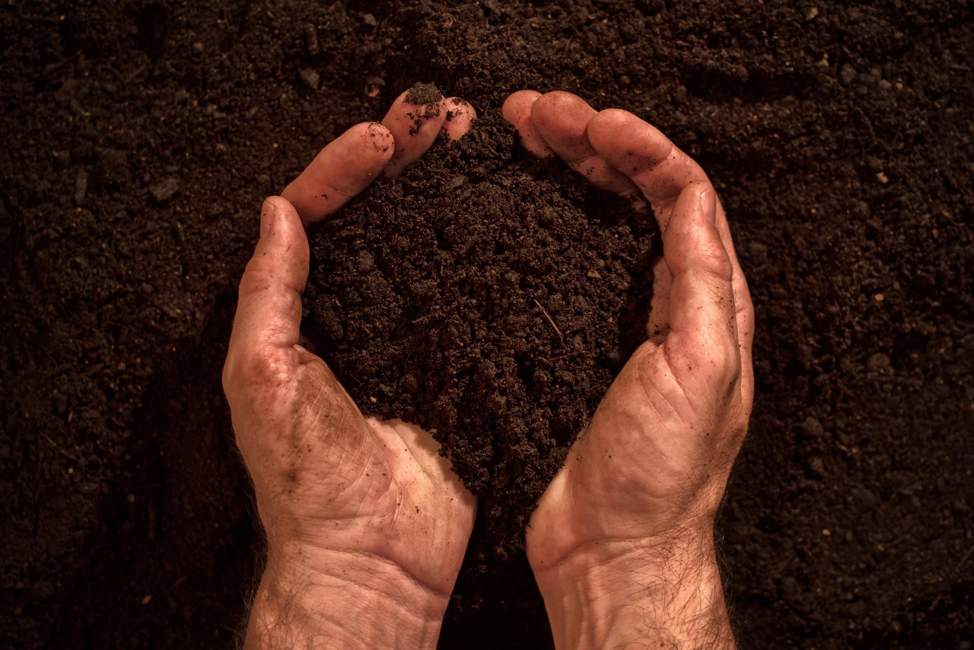 humus soil definition for kids