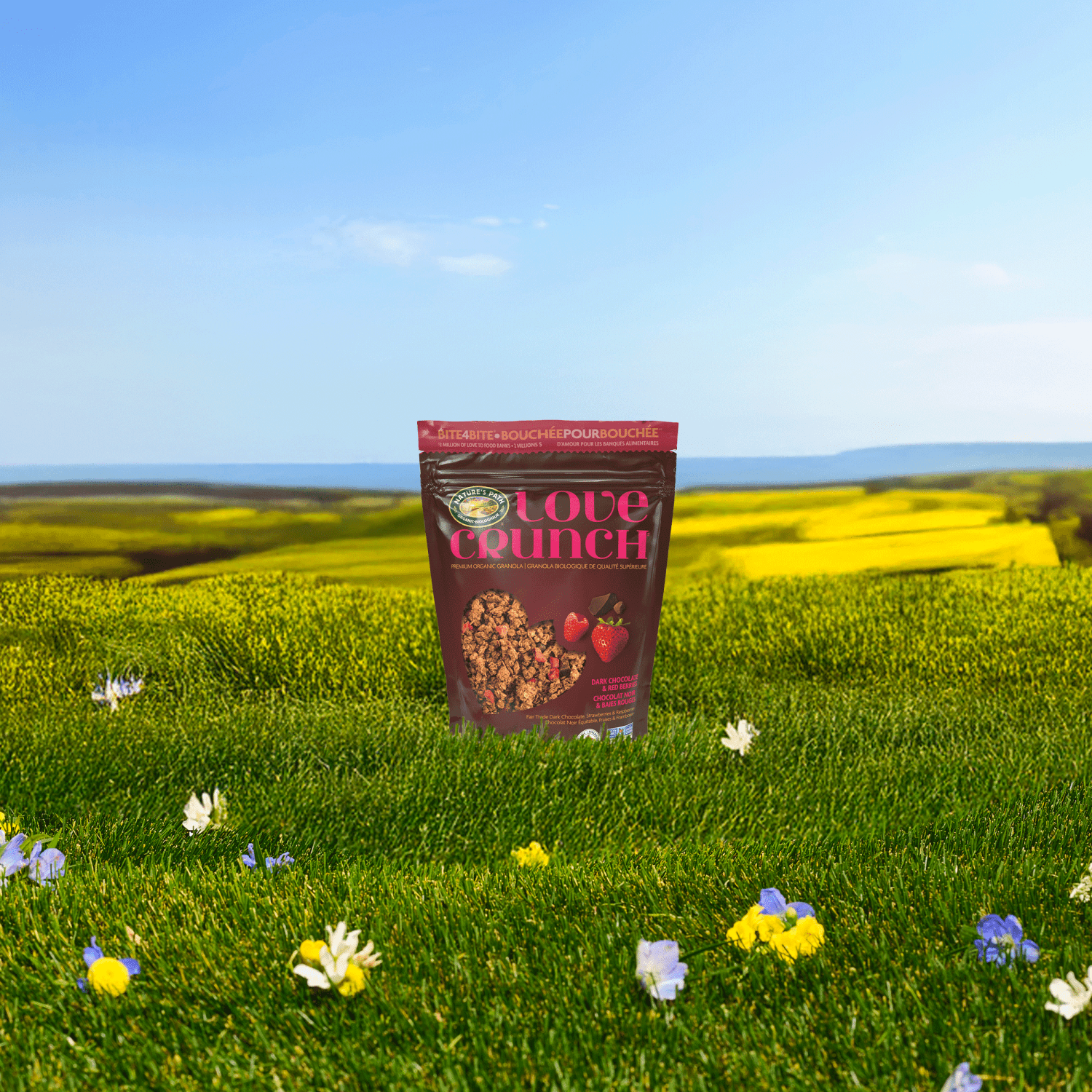 Dark_Chocolate_and_Red_Berries_Granola_058449771760-771762