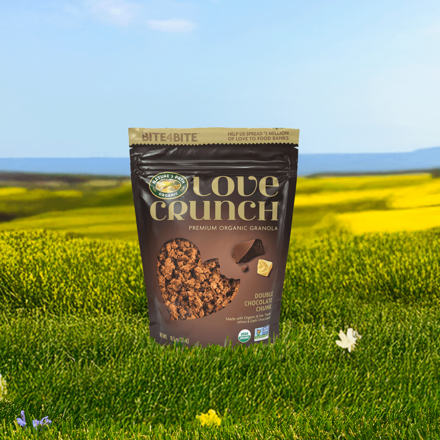 Double_Chocolate_Chunk_Granola_058449172123-17212U2