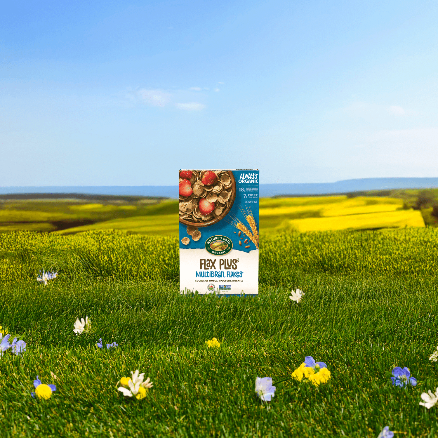 Flax_Plus_Multibran_Flakes_Cereal_058449770503-77050