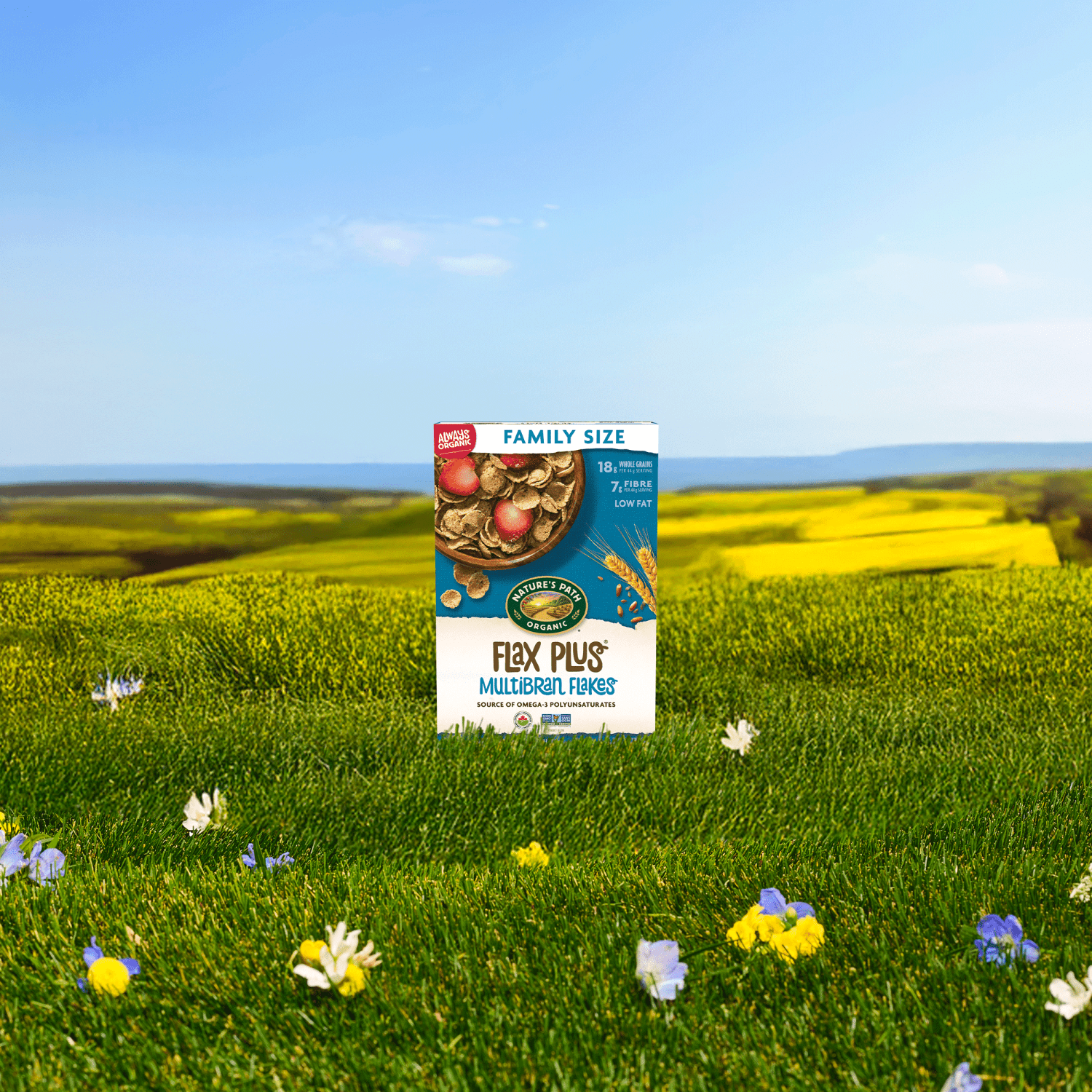 Flax_Plus_Multibran_Flakes_Cereal_058449770534-77106