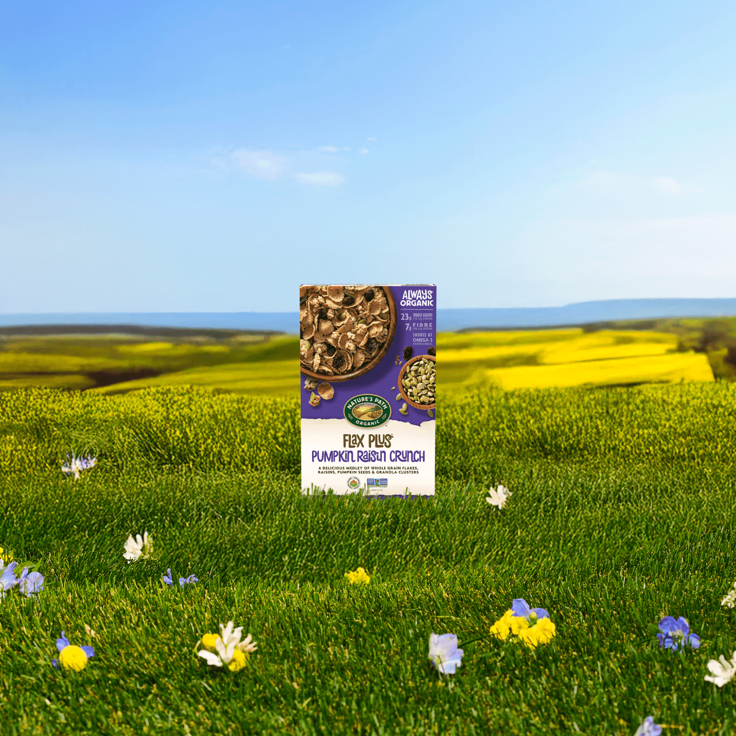 Flax_Plus_Pumpkin_Raisin_Crunch_Cereal_058449777502-77750