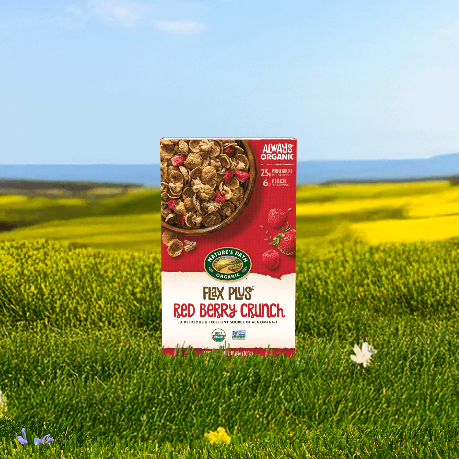 Flax_Plus_Red_Berry_Crunch_Cereal_058449777656-77765U