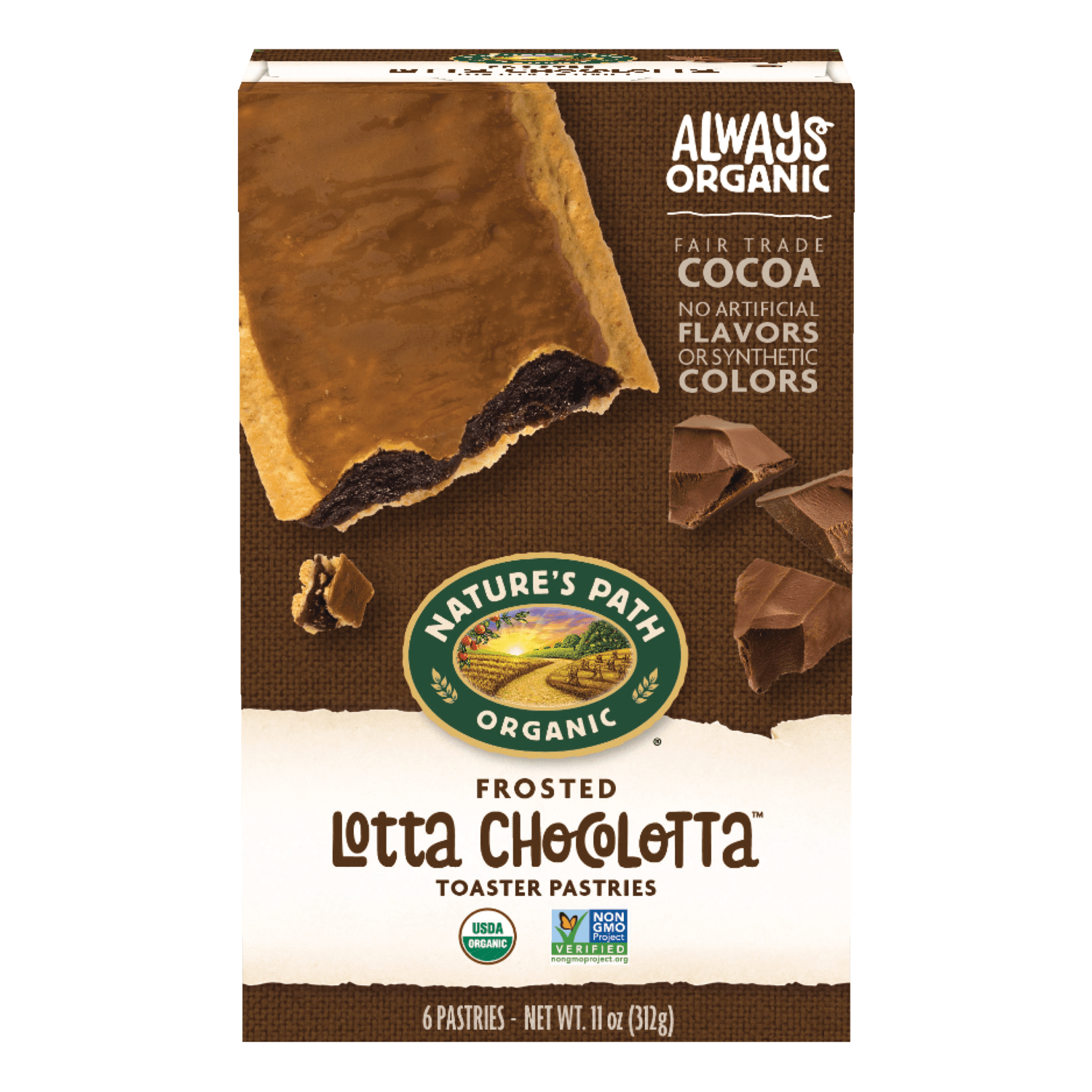 Frosted Lotta Chocolotta Toaster Pastries – Nature's Path