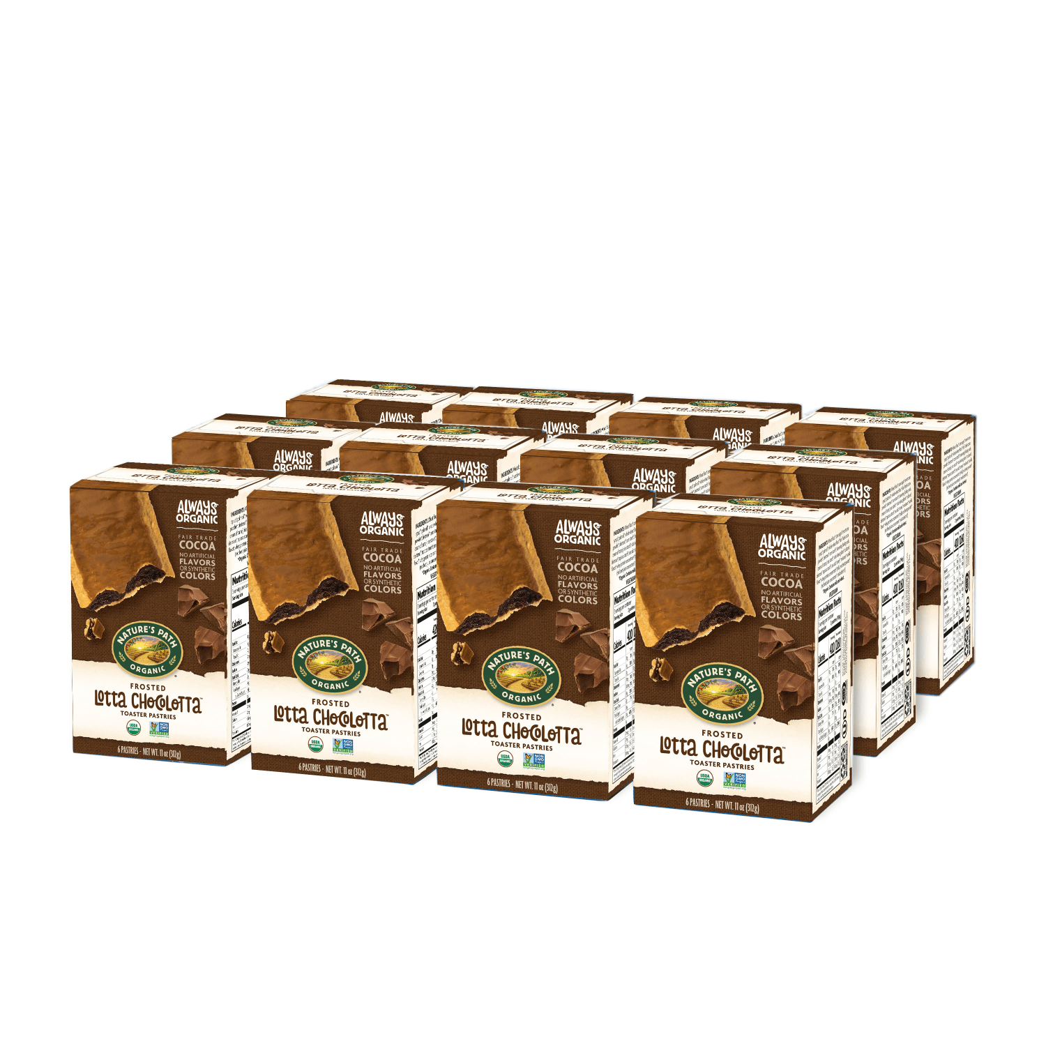 Frosted_Lotta_Chocolotta_Toaster_Pastries_058449410140-41014U2