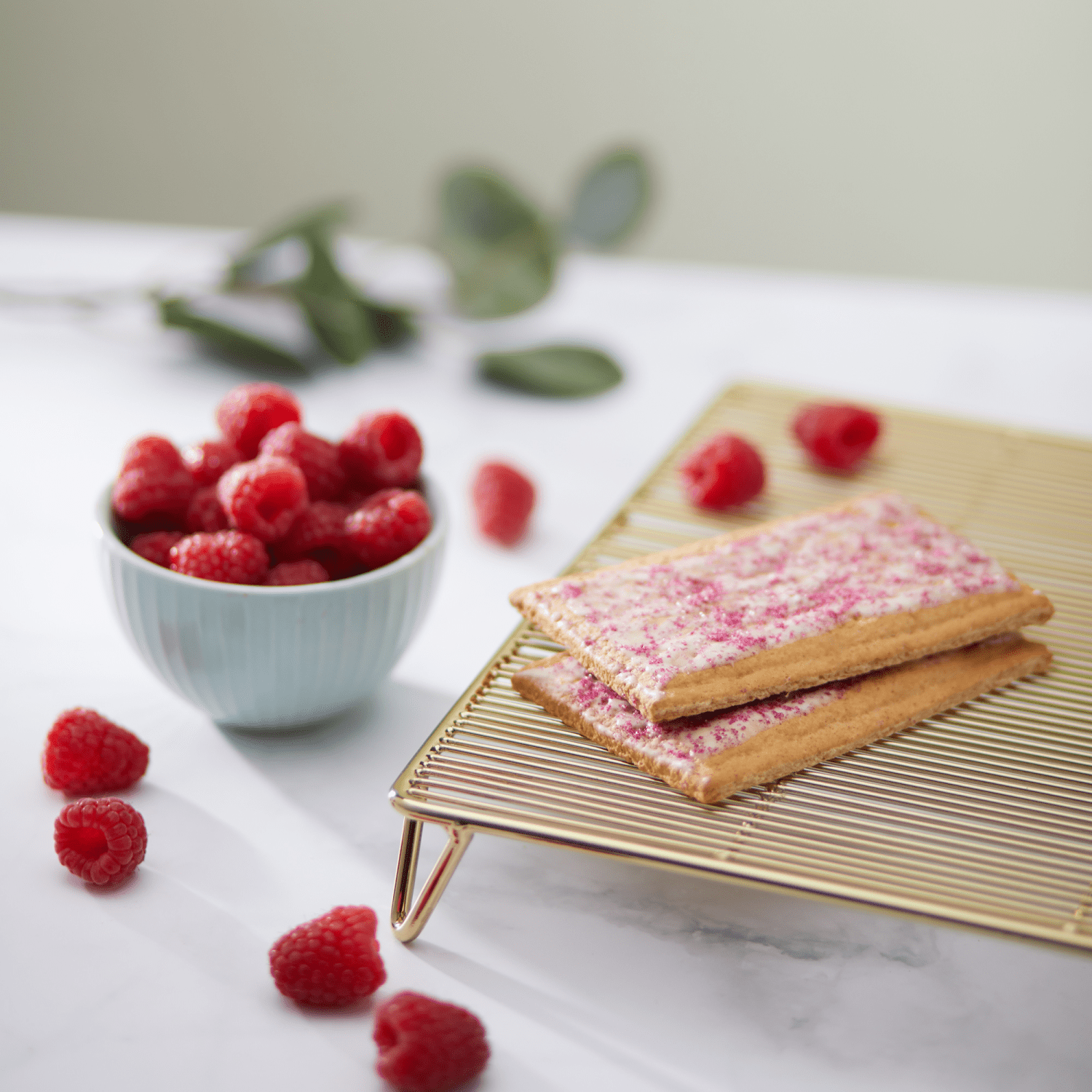 Frosted_Razzi_Raspberry_Toaster_Pastries_058449410249-41024U2