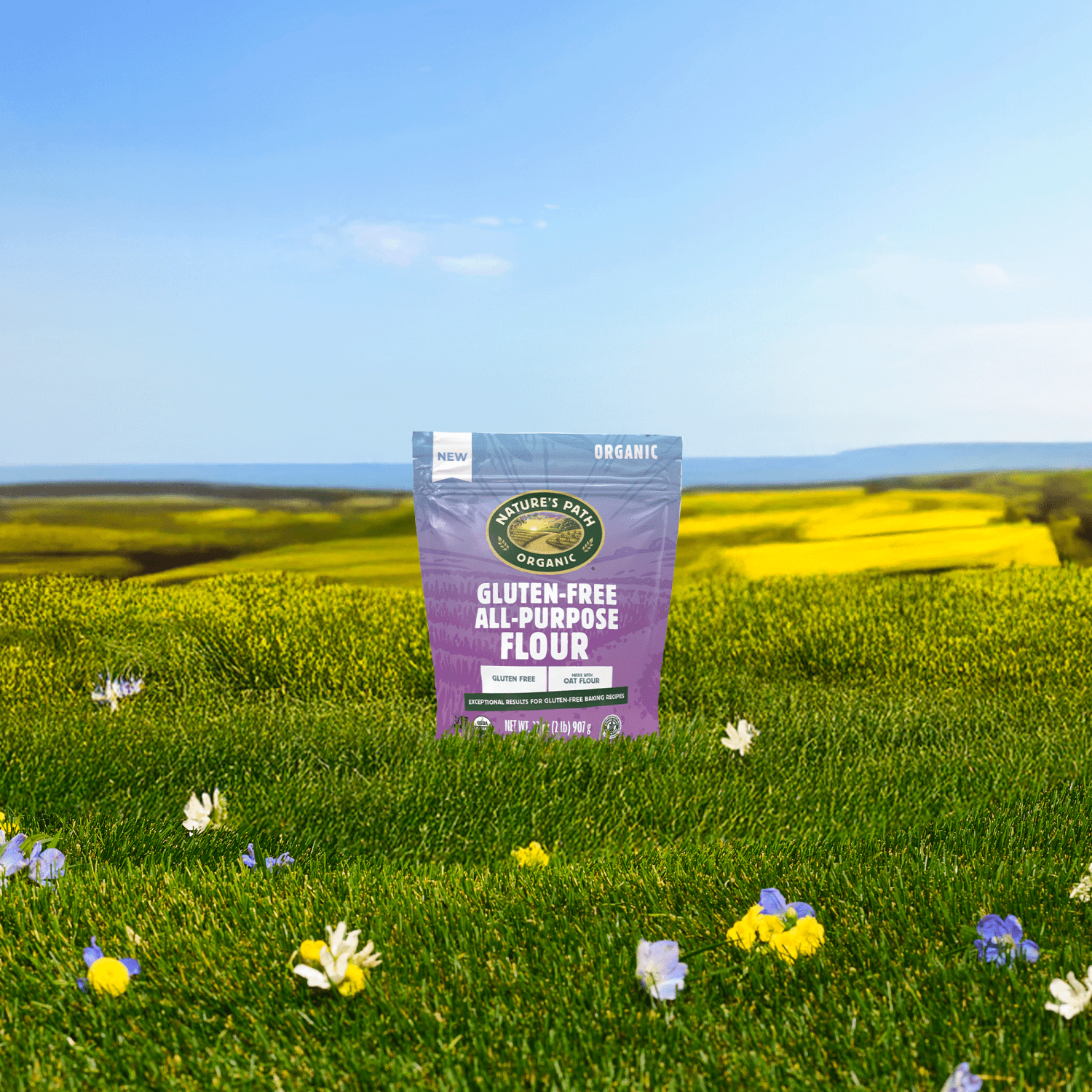 GlutenFree_AllPurpose_Flour_058449243144-24314U