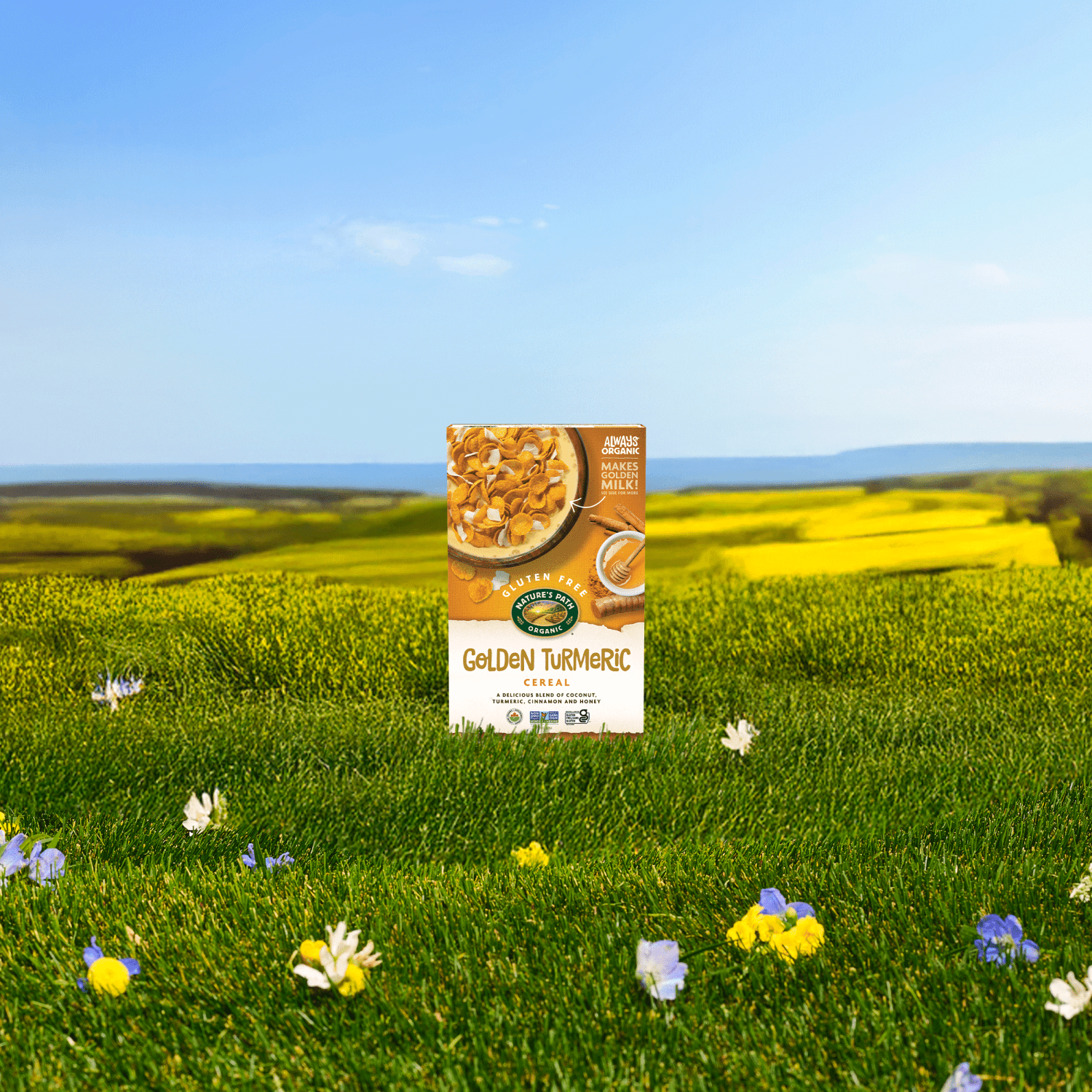 Golden_Turmeric_Gluten_Free_Cereal_058449189107-18910