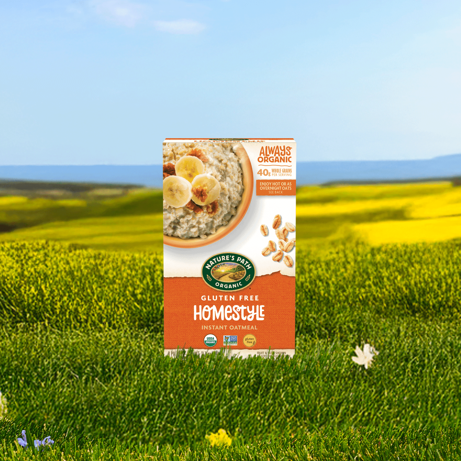 Homestyle_Gluten_Free_Instant_Oatmeal_058449450573-45057U