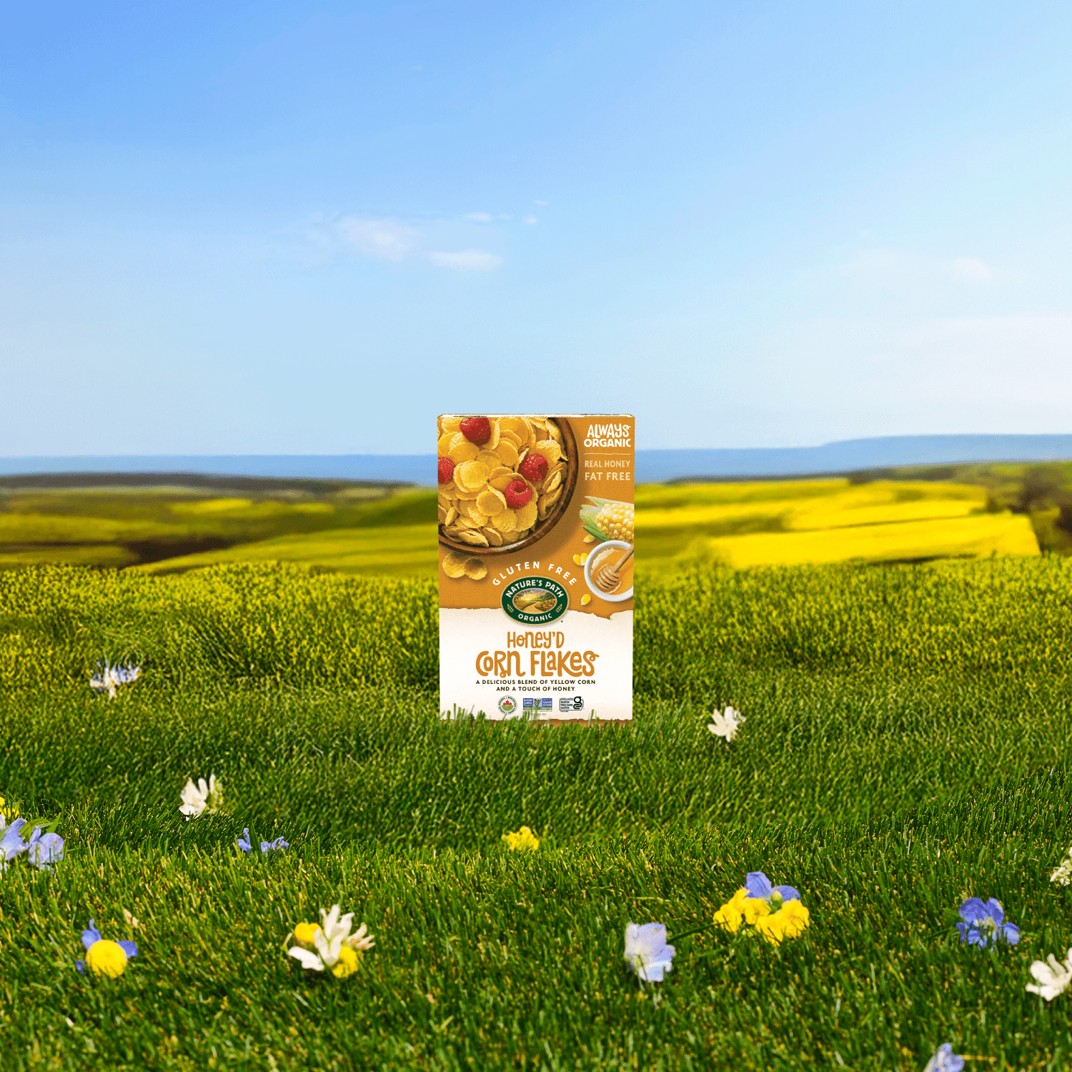 HoneyD_Corn_Flakes_Cereal_058449602187-60218
