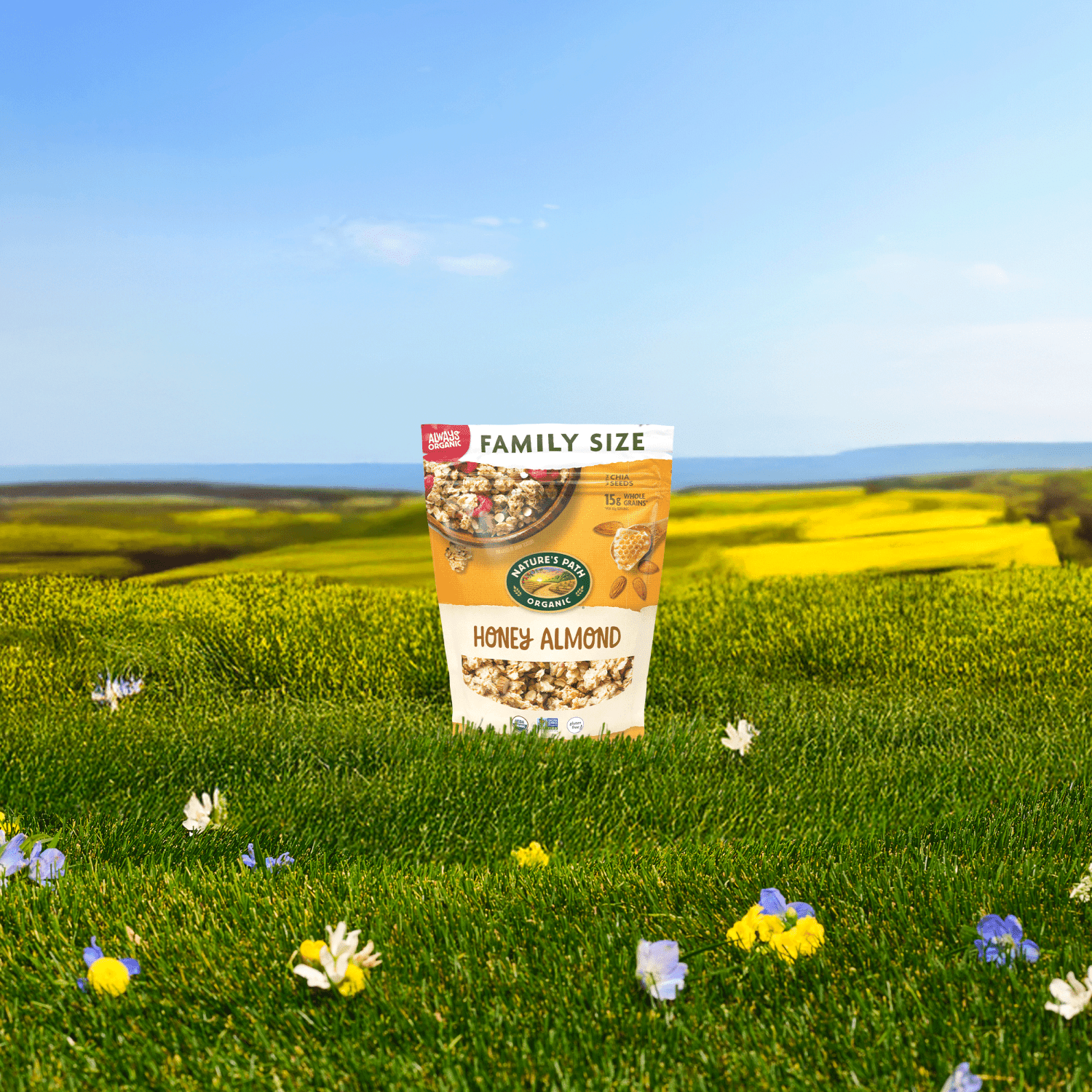 Honey_Almond_Granola_058449241324-24132U