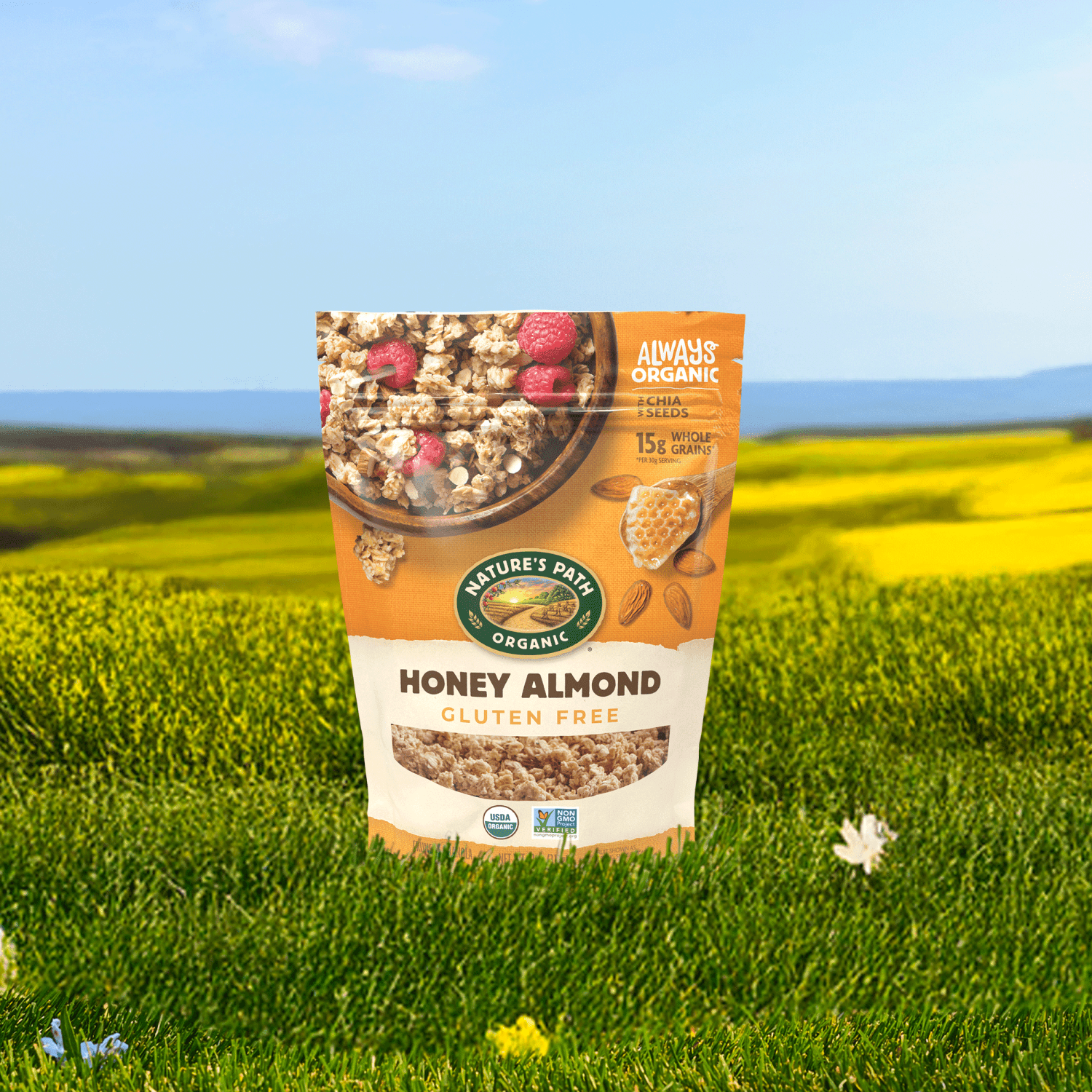Honey_Almond_Granola_058449890379-89037U