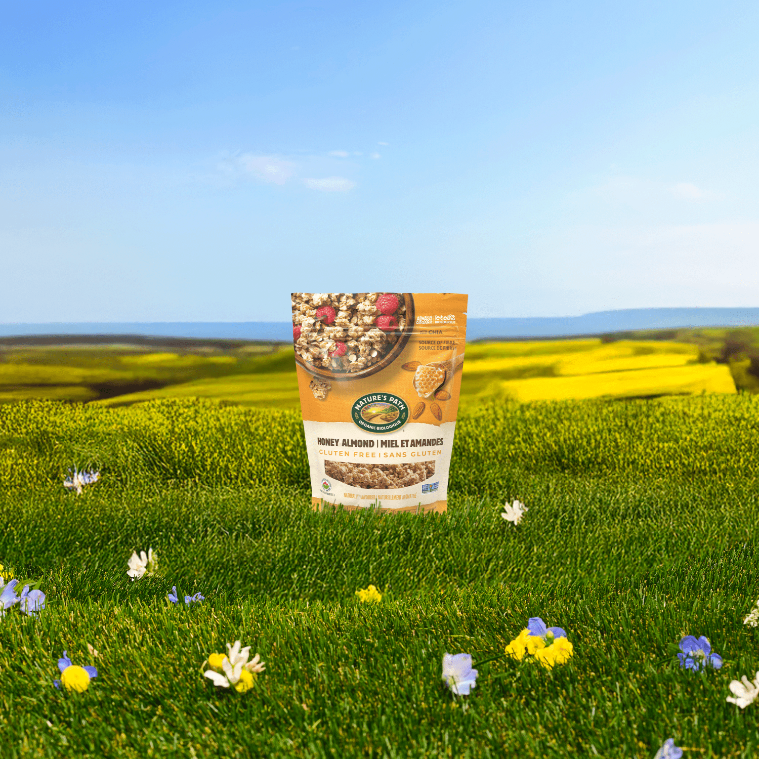Honey_Almond_Granola_058449890416-89041