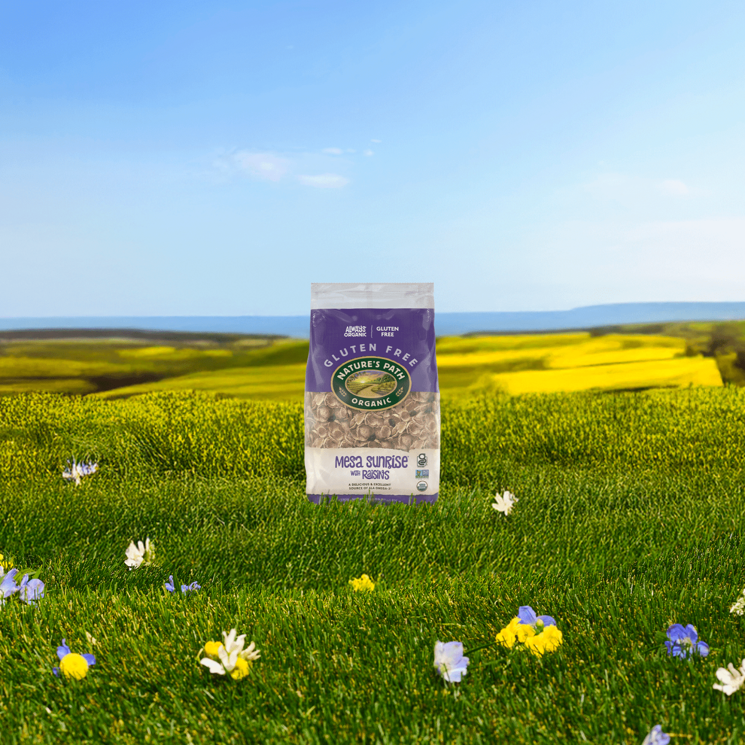 Mesa_Sunrise_with_Raisins_Cereal_058449771623-77162U