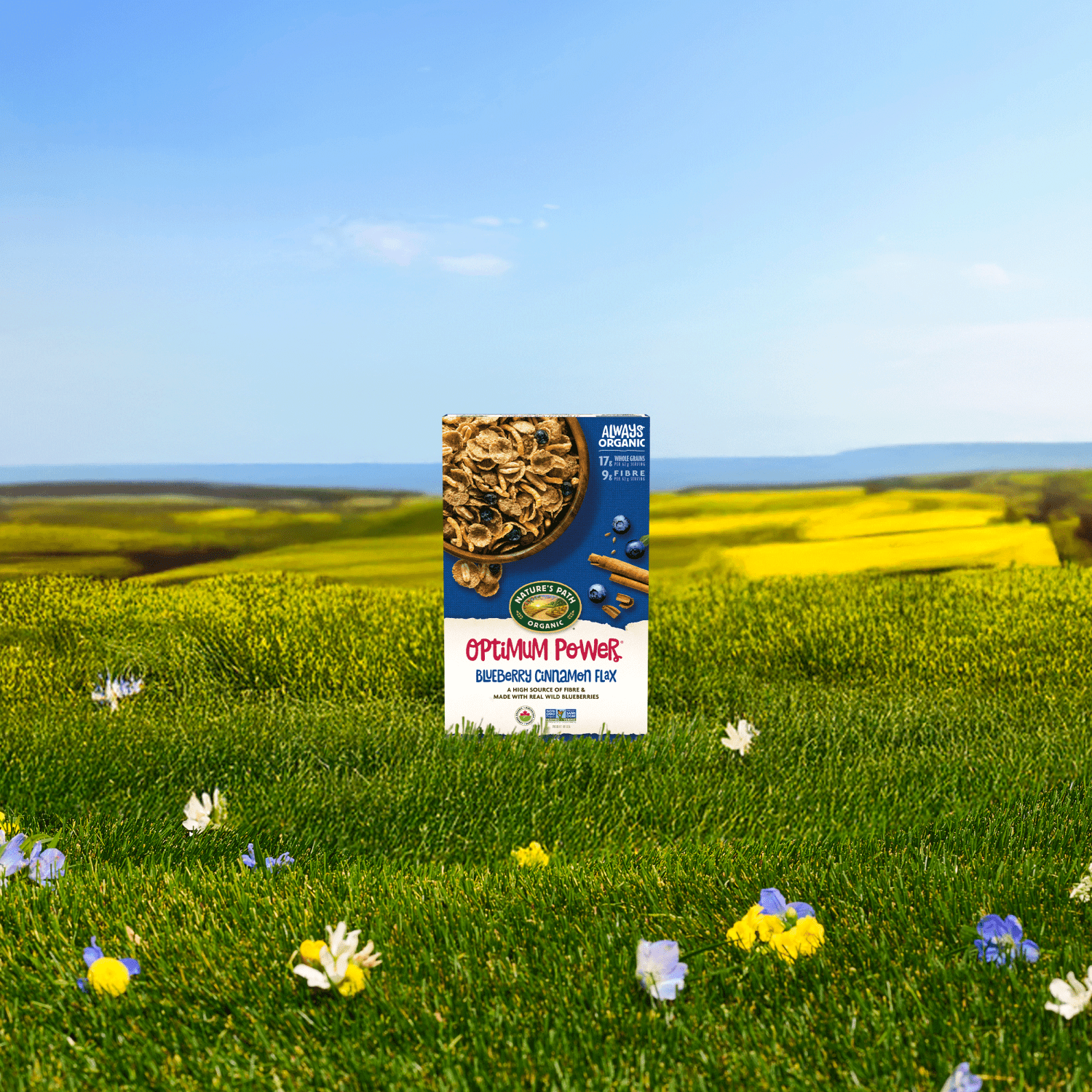 Optimum_Power_Blueberry_Cinnamon_Flax_Cereal_058449777007-77700