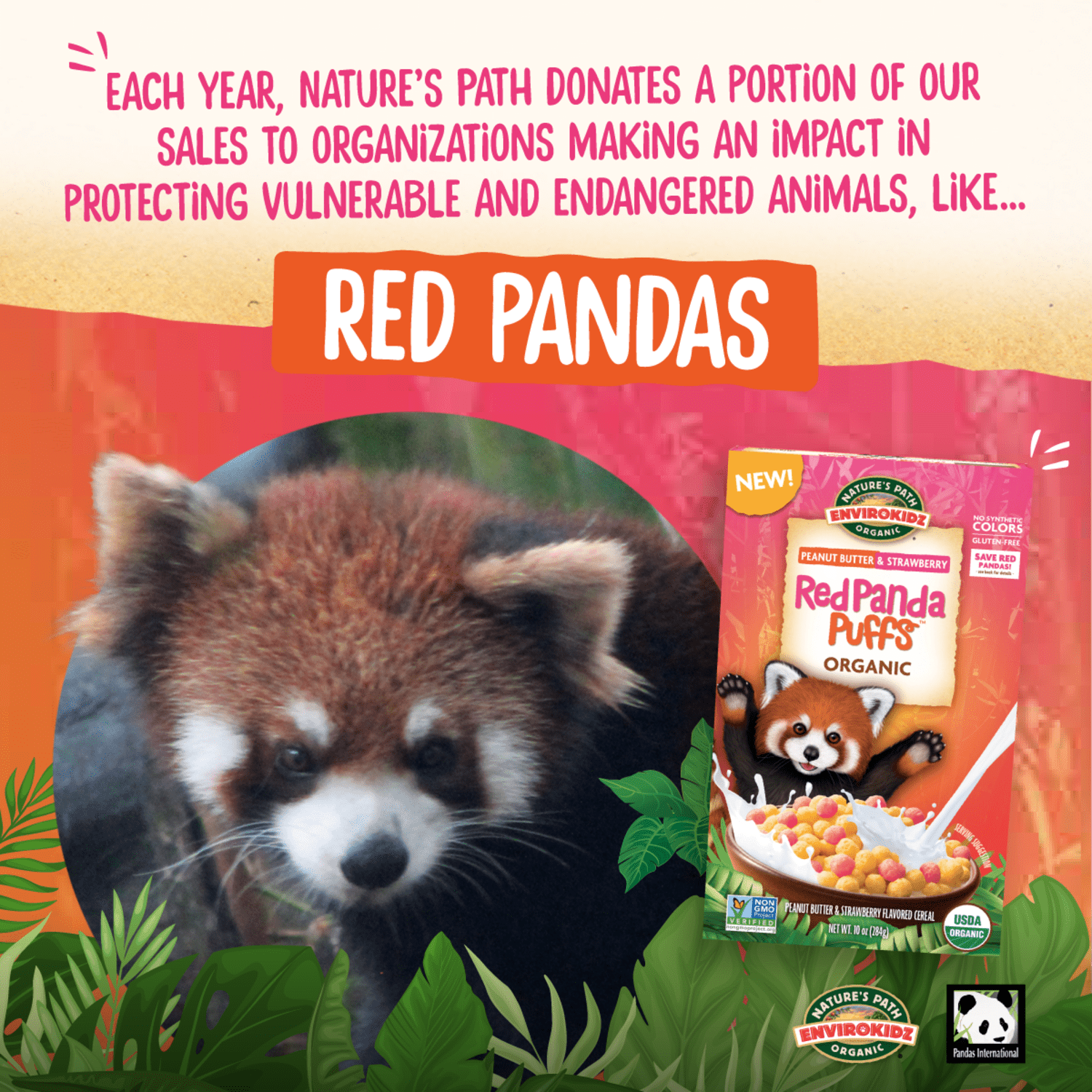 Red_Panda_Puffs_Cereal_058449241102-24110U