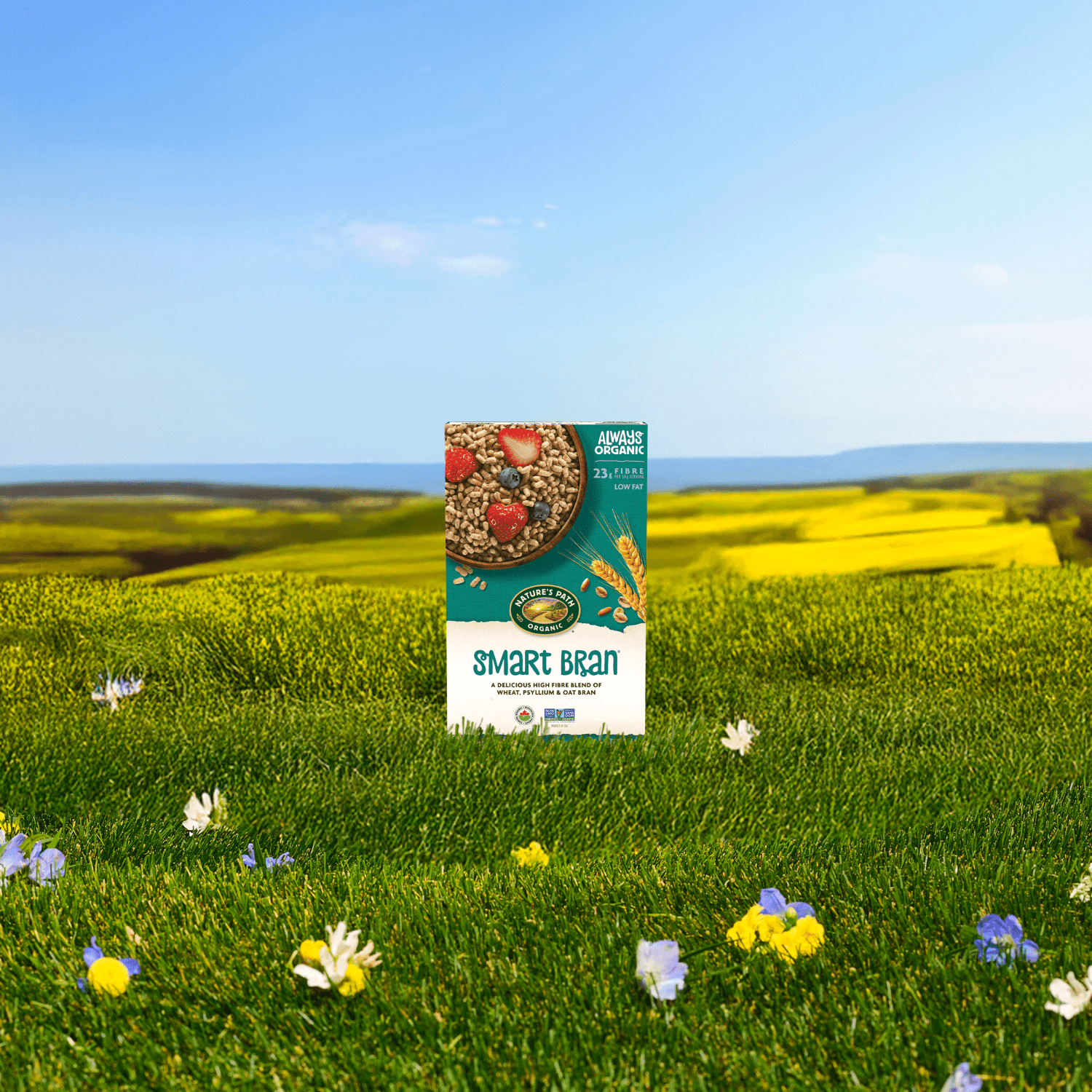 Smart_Bran_Cereal_058449771029-77102