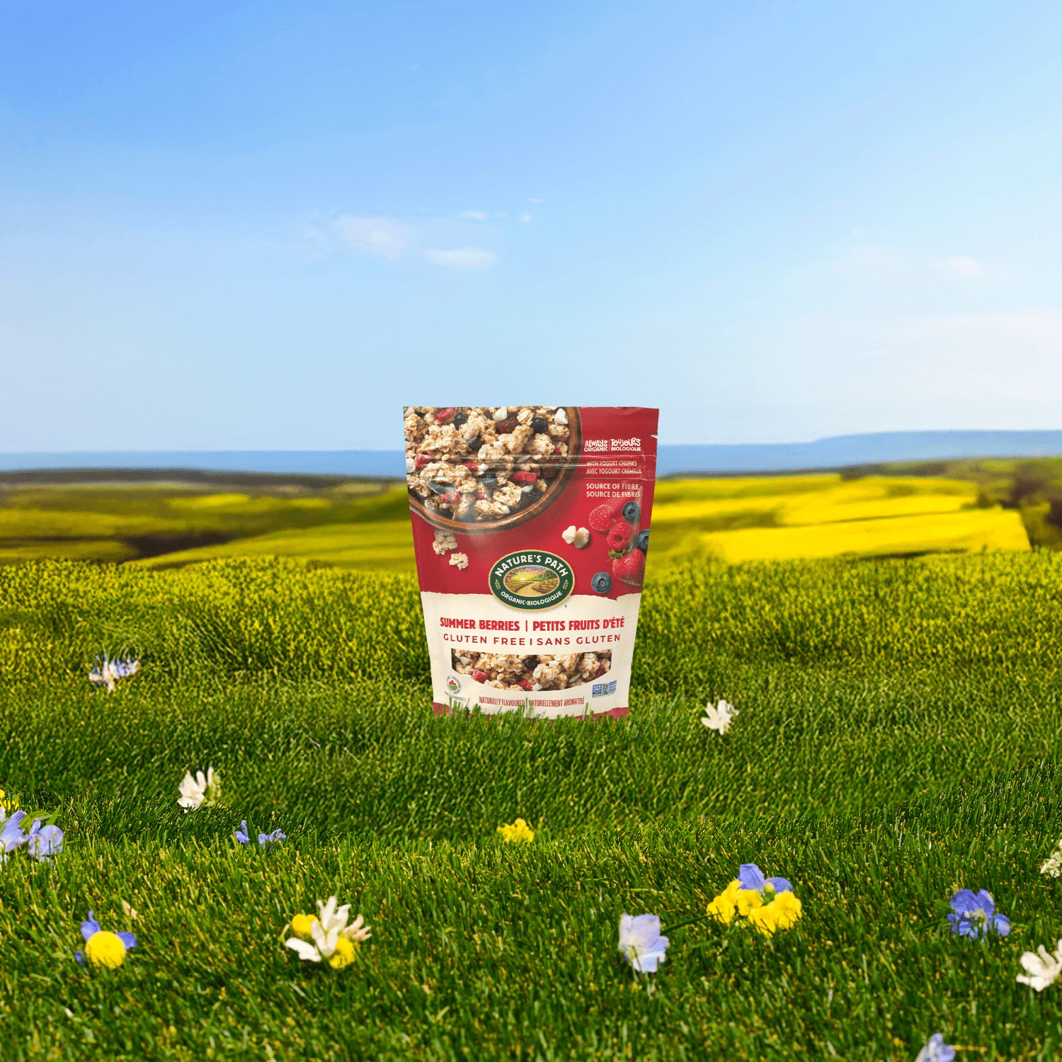 Summer_Berries_Gluten_Free_Granola_058449890430-89043