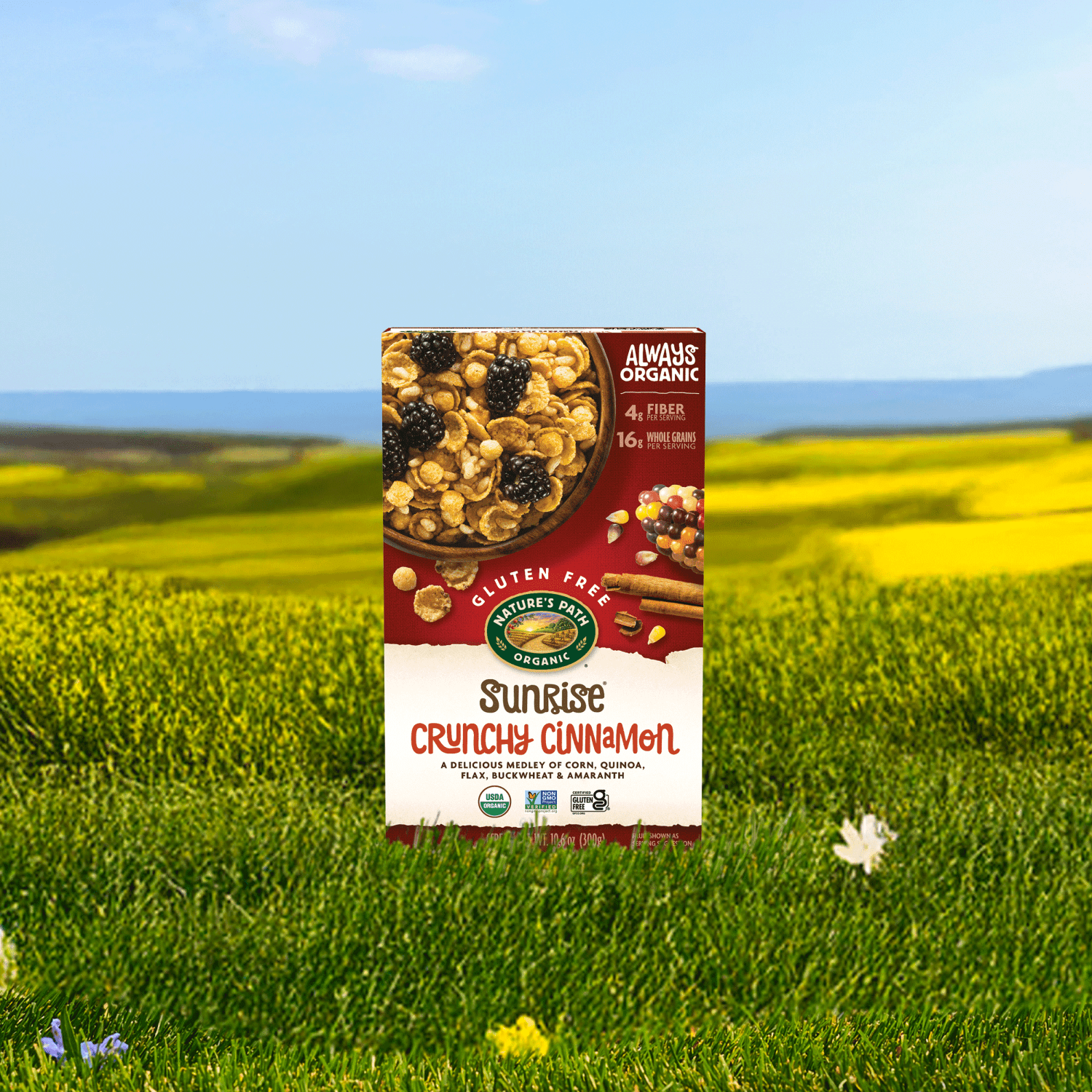 Sunrise_Crunchy_Cinnamon_Cereal_058449772071-77207U