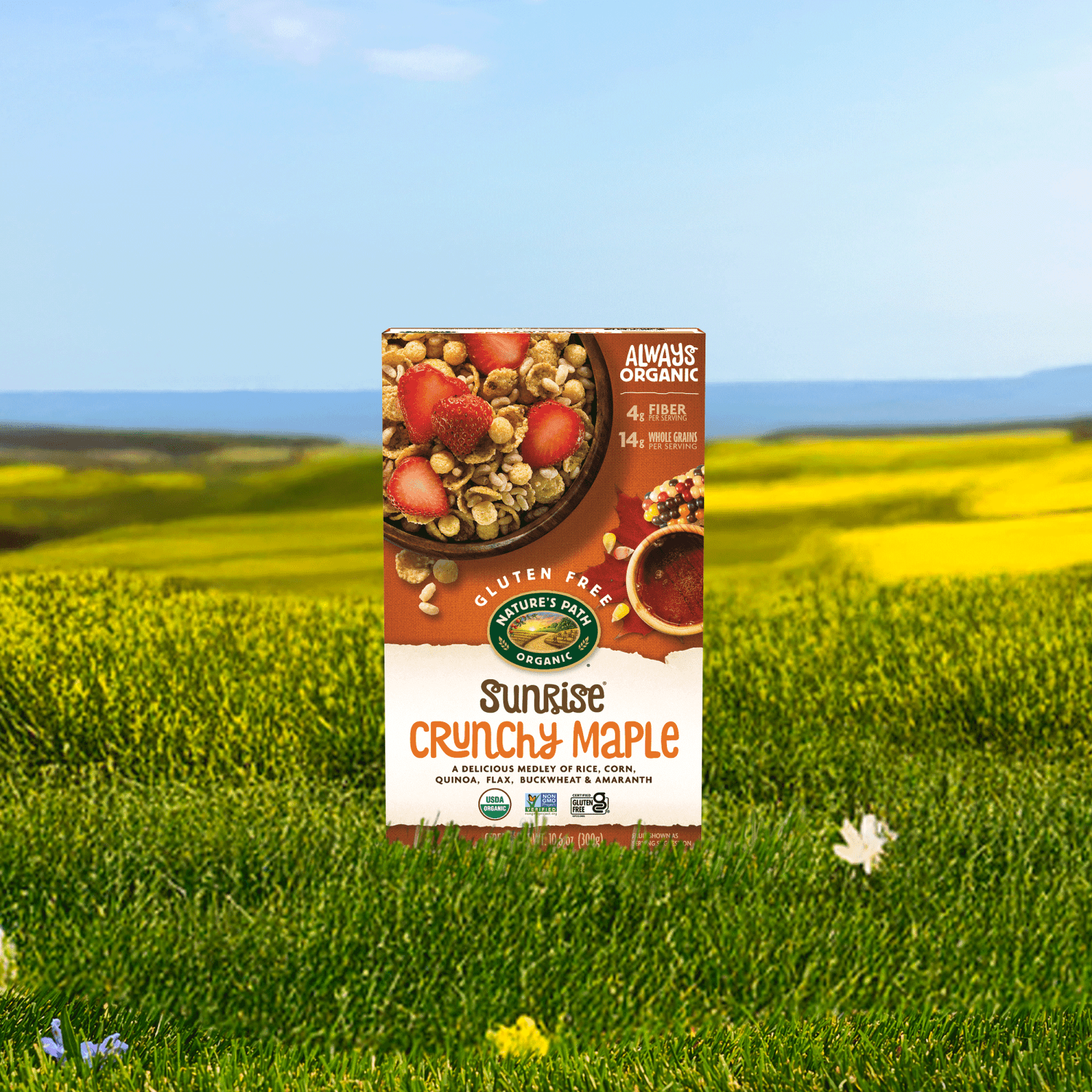 Sunrise_Crunchy_Maple_Cereal_058449771531-77153U