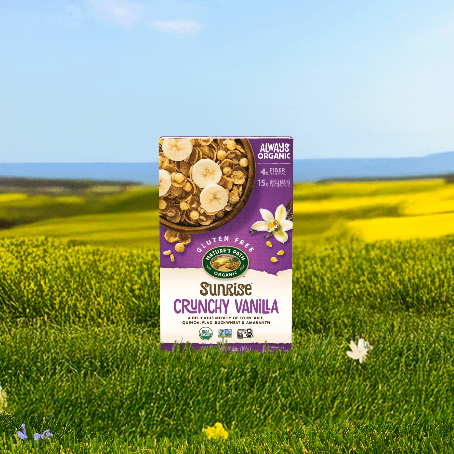 Sunrise_Crunchy_Vanilla_Cereal_058449771555-77155U