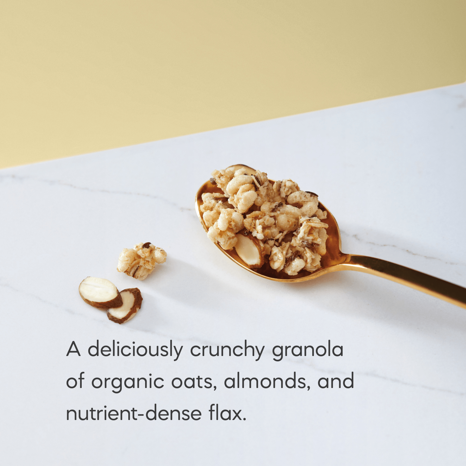 Vanilla_Almond_plus_Flax_Granola_Bulk_Box_10058449880124-88012U