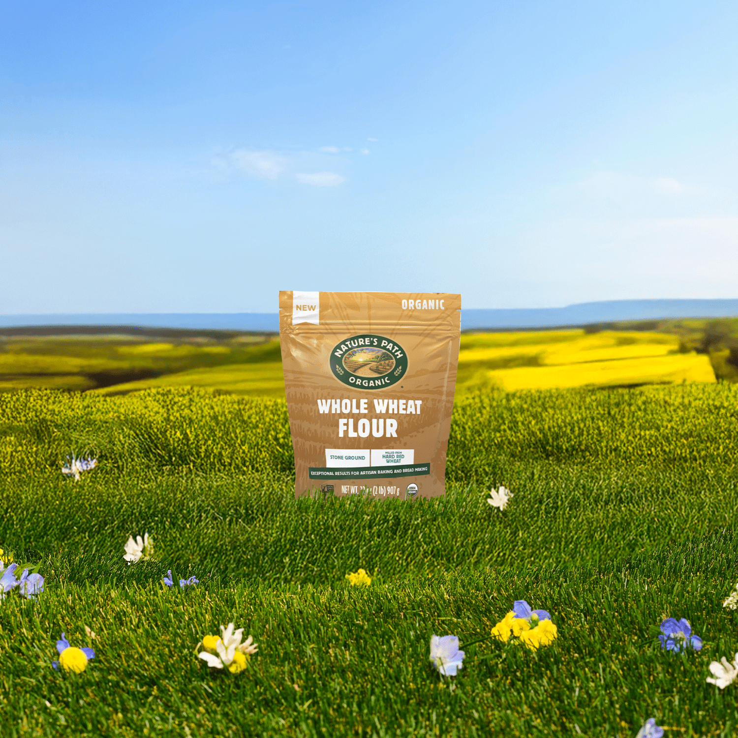 Whole_Wheat_Flour_058449243120-24312U