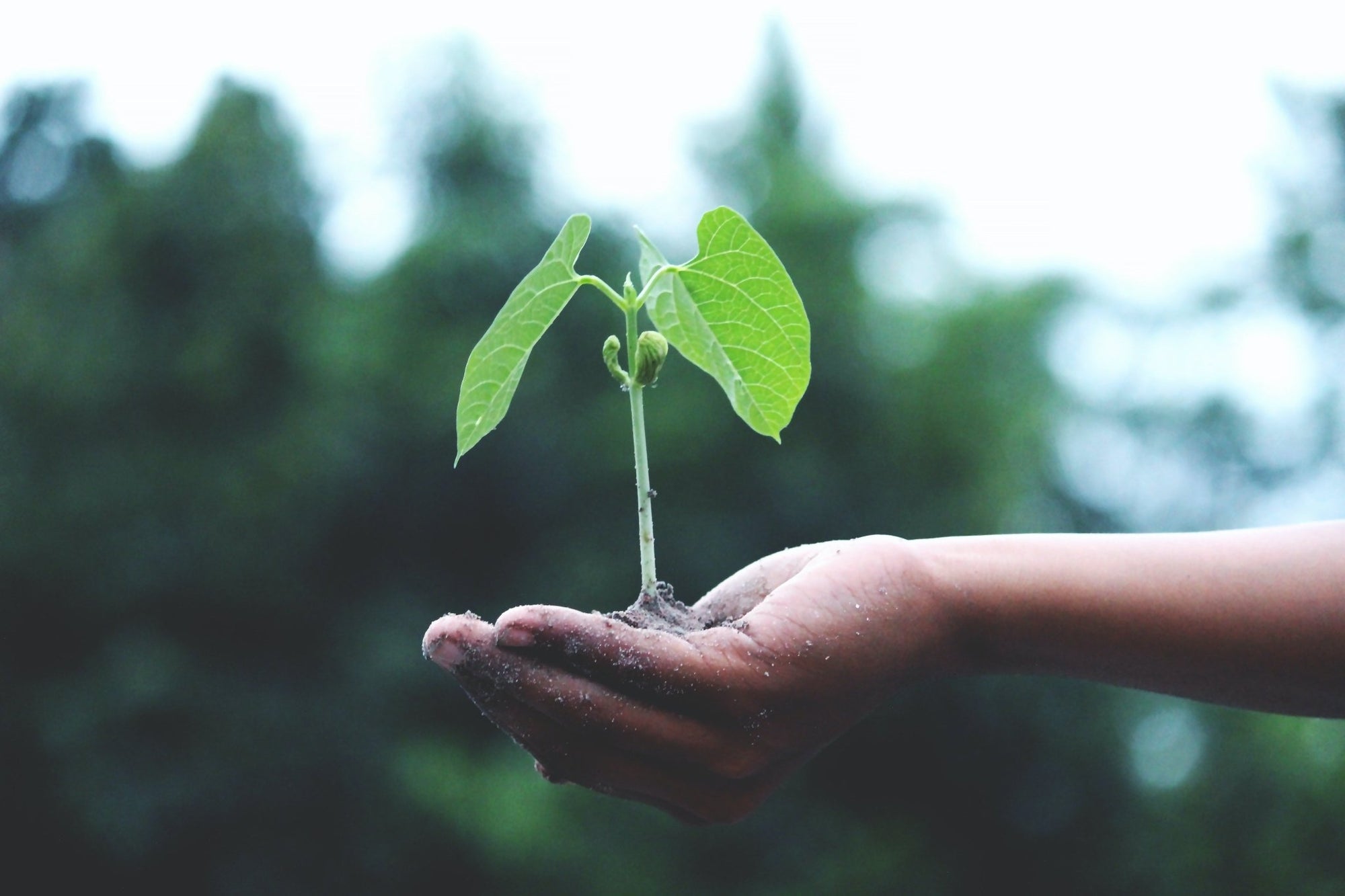 How Climate Change Can Affect our Health