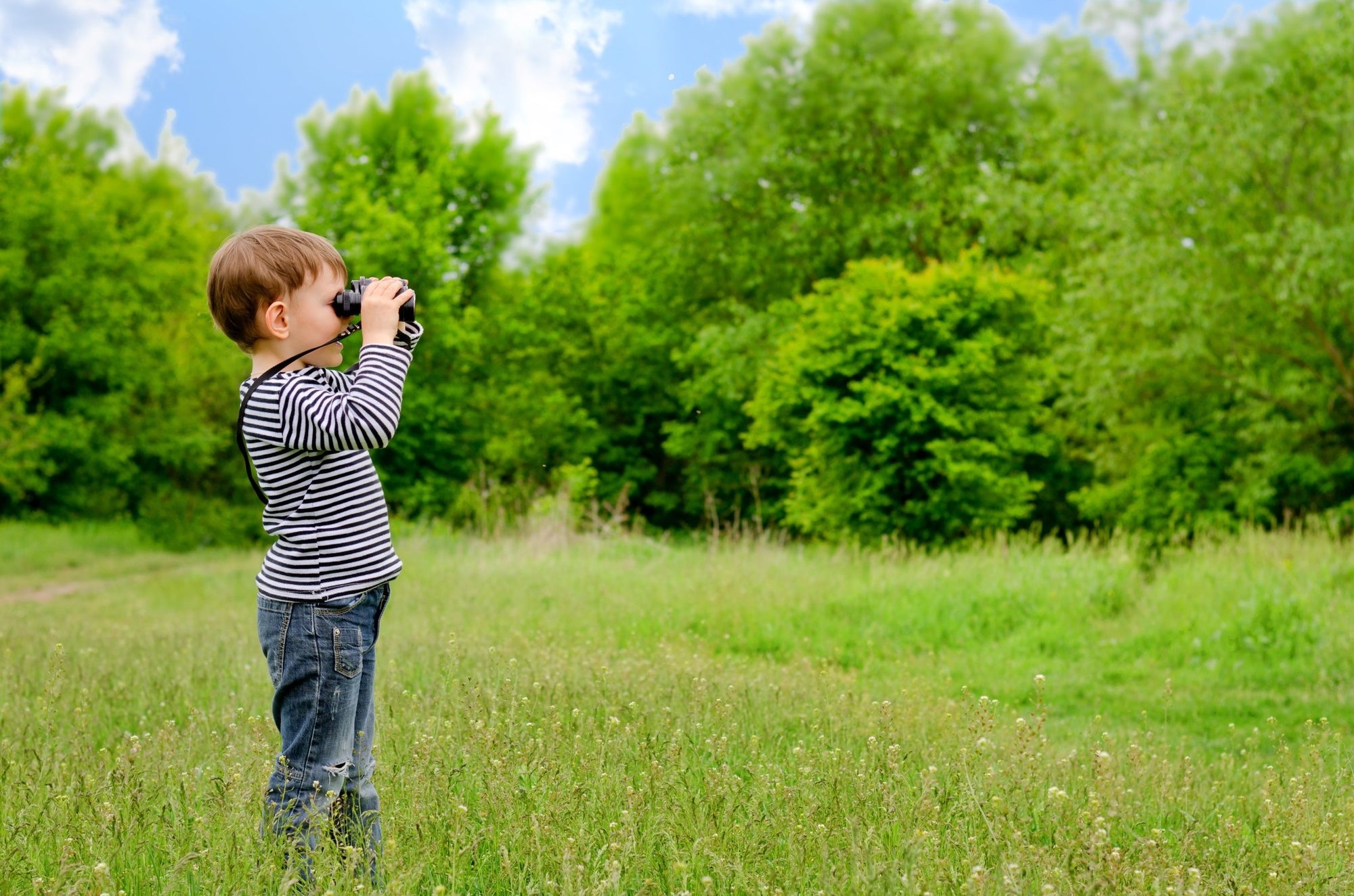 How to Go Bird Watching With Your Kids