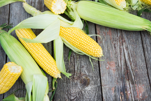 All About Organic Corn