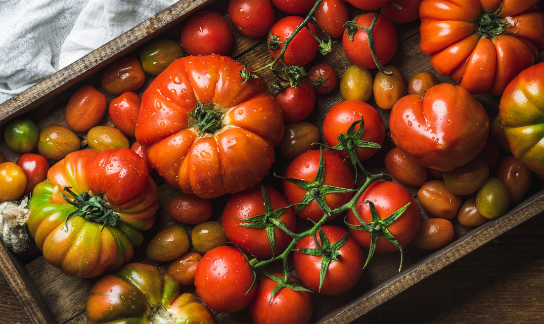 Tomatoes: An Essential Ingredient in Mexican Cooking