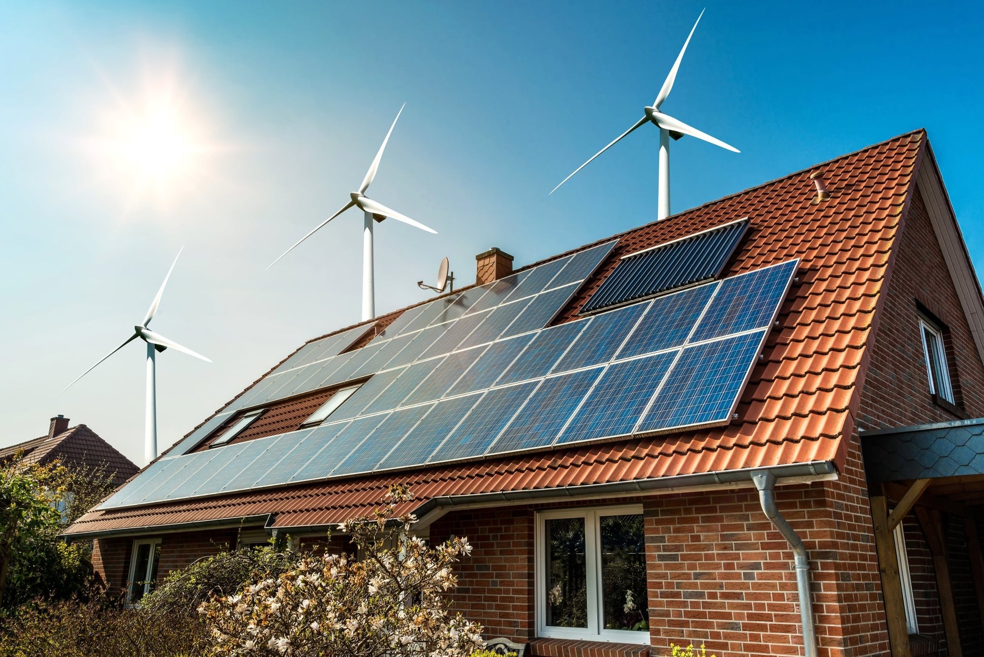 Your Guide to Understanding Renewable Energy