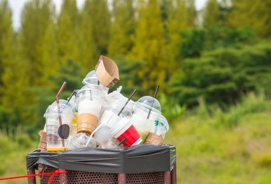 Why Single-Use Plastics Are Bad—And What You Can Do About It