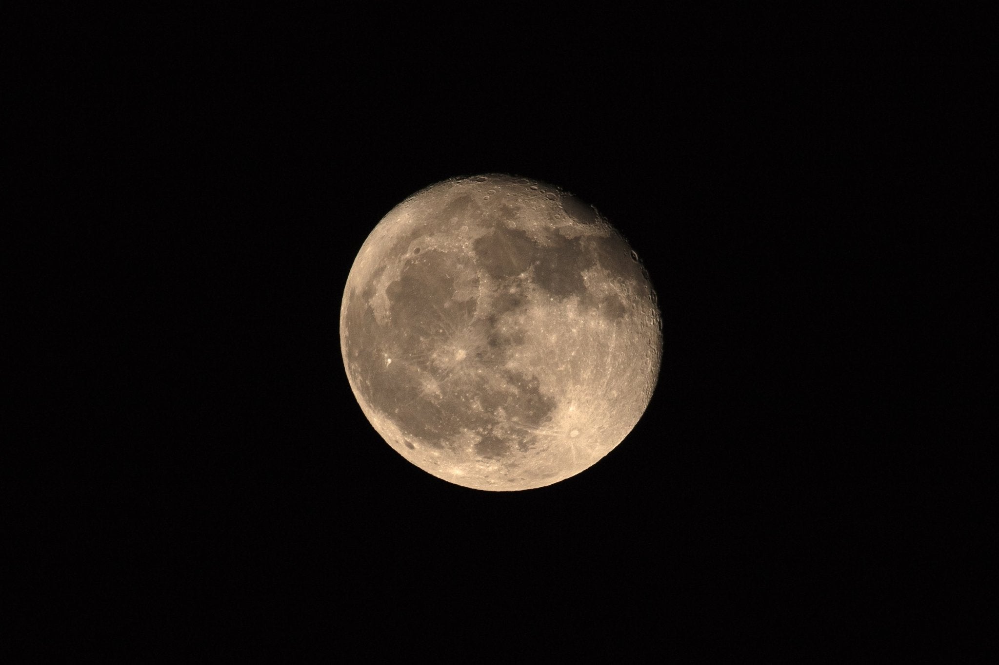 Gardening by the Moon