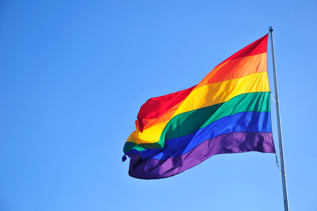 8 WAYS YOU CAN CELEBRATE PRIDE MONTH