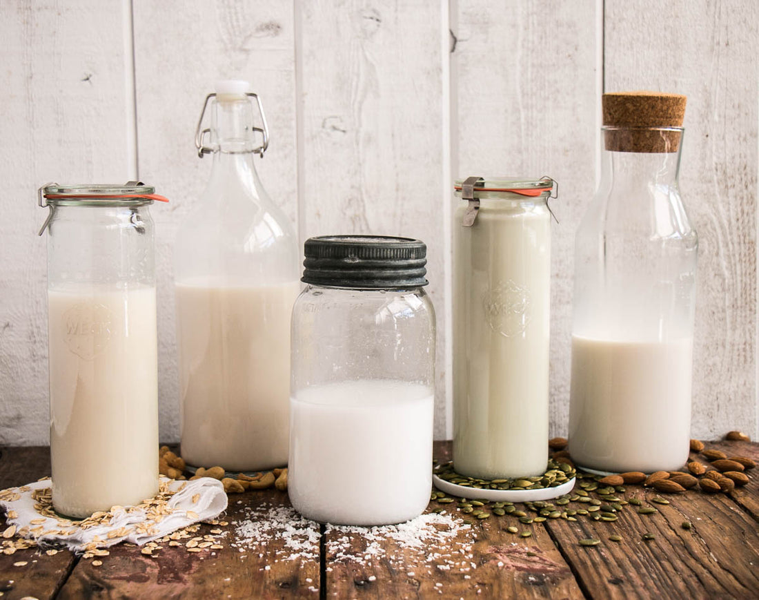 4 Dairy Free Milk Recipes [Vegan]
