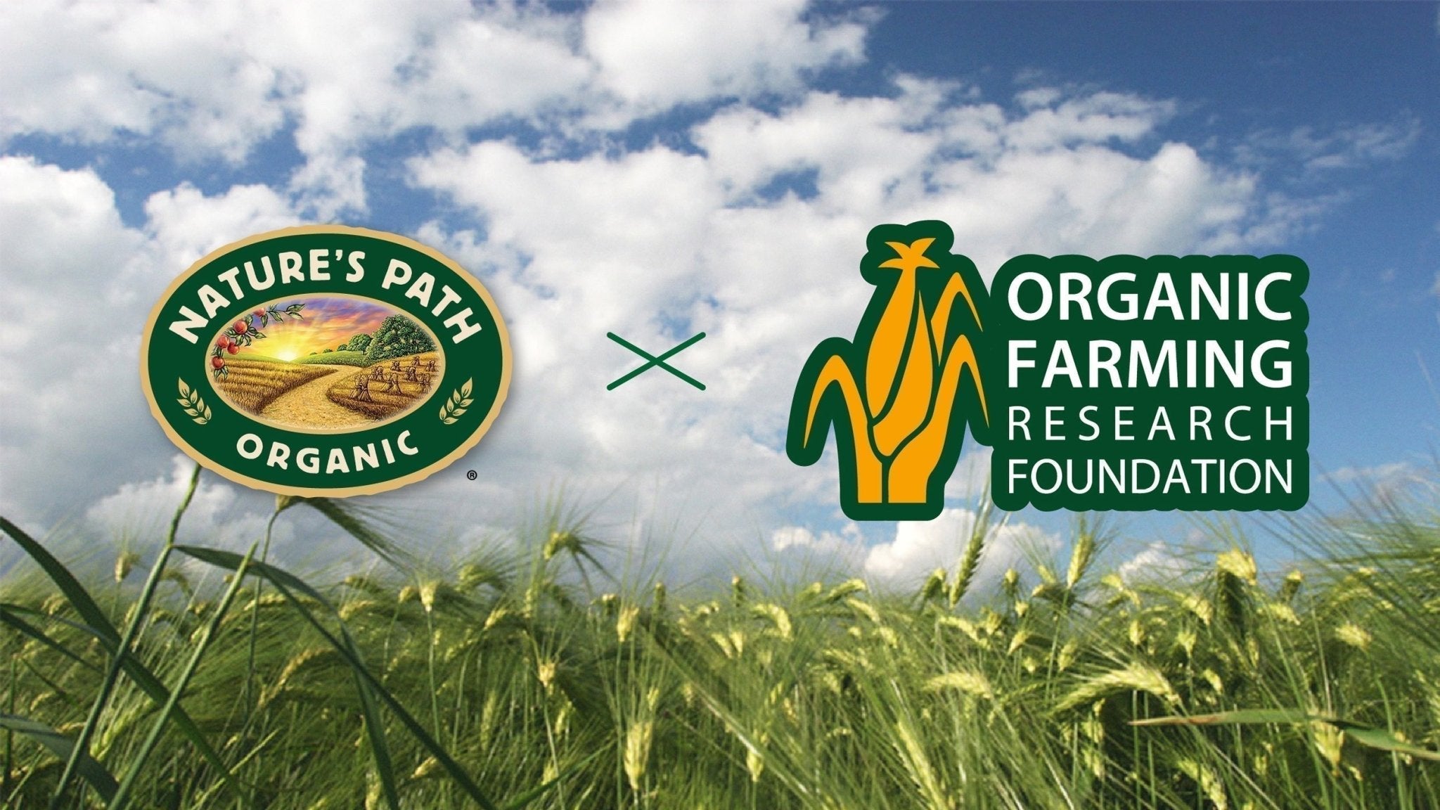 Rooted in Resilience: Organic Farmers Shaping the Future