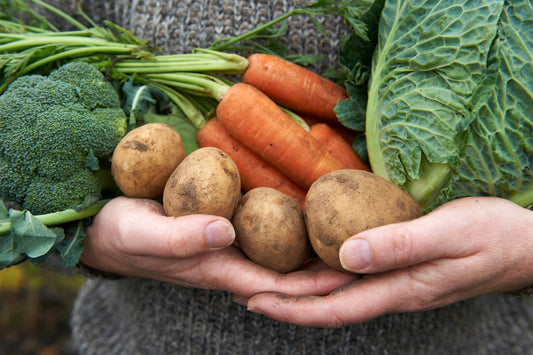 17 Reasons To Buy Certified Organic Food