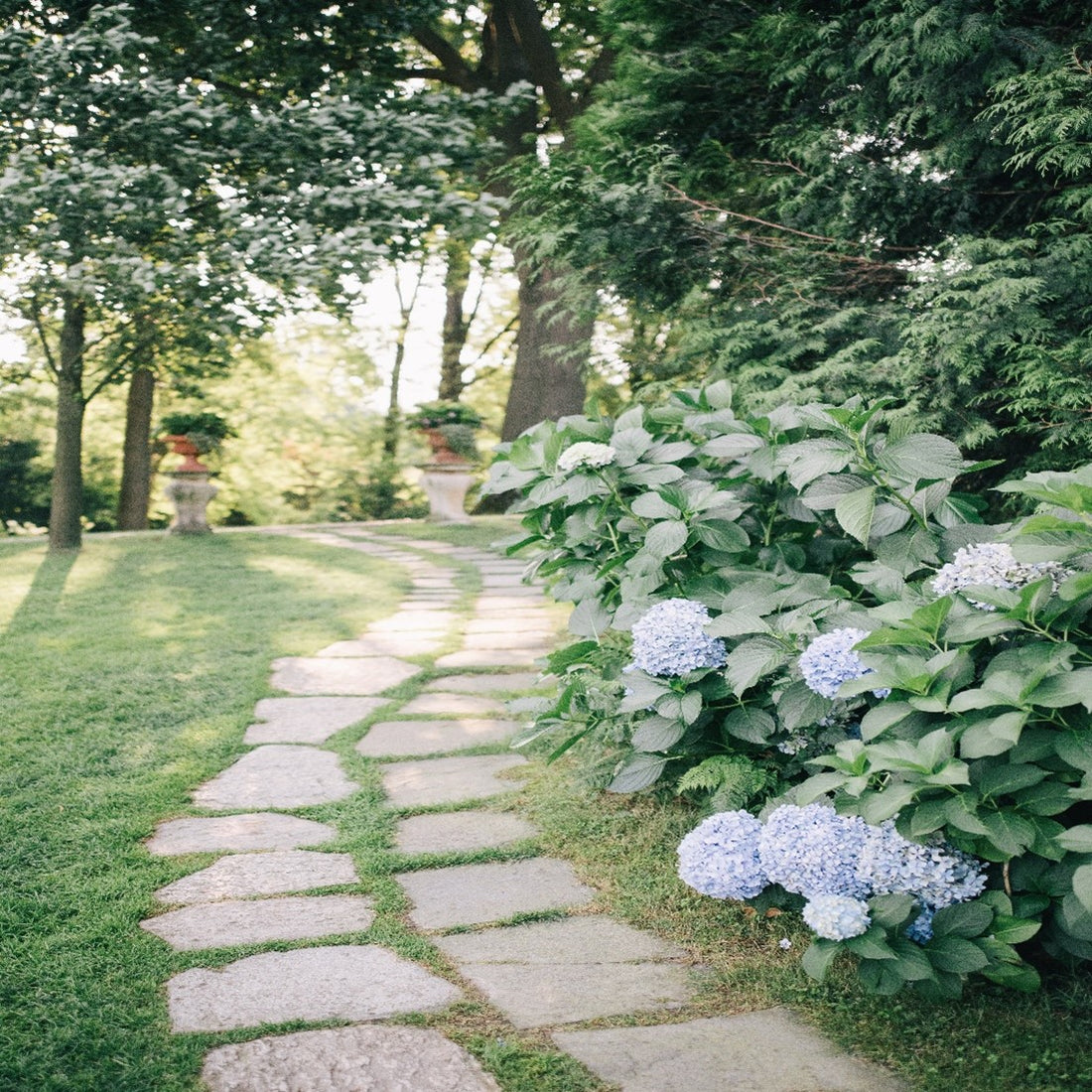 Top 5 Tips on How to Create an Aesthetic Garden