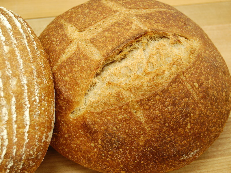 Pan de masa masiva de trigo integral brotado