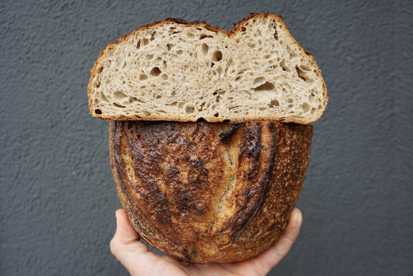 25% WHOLE GRAIN BLEND SOURDOUGH