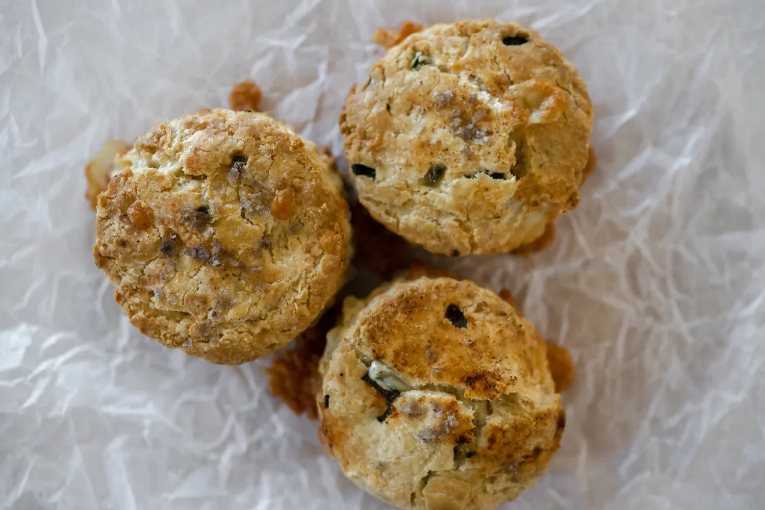 Gluten Free Jalapeño Cheddar Scones