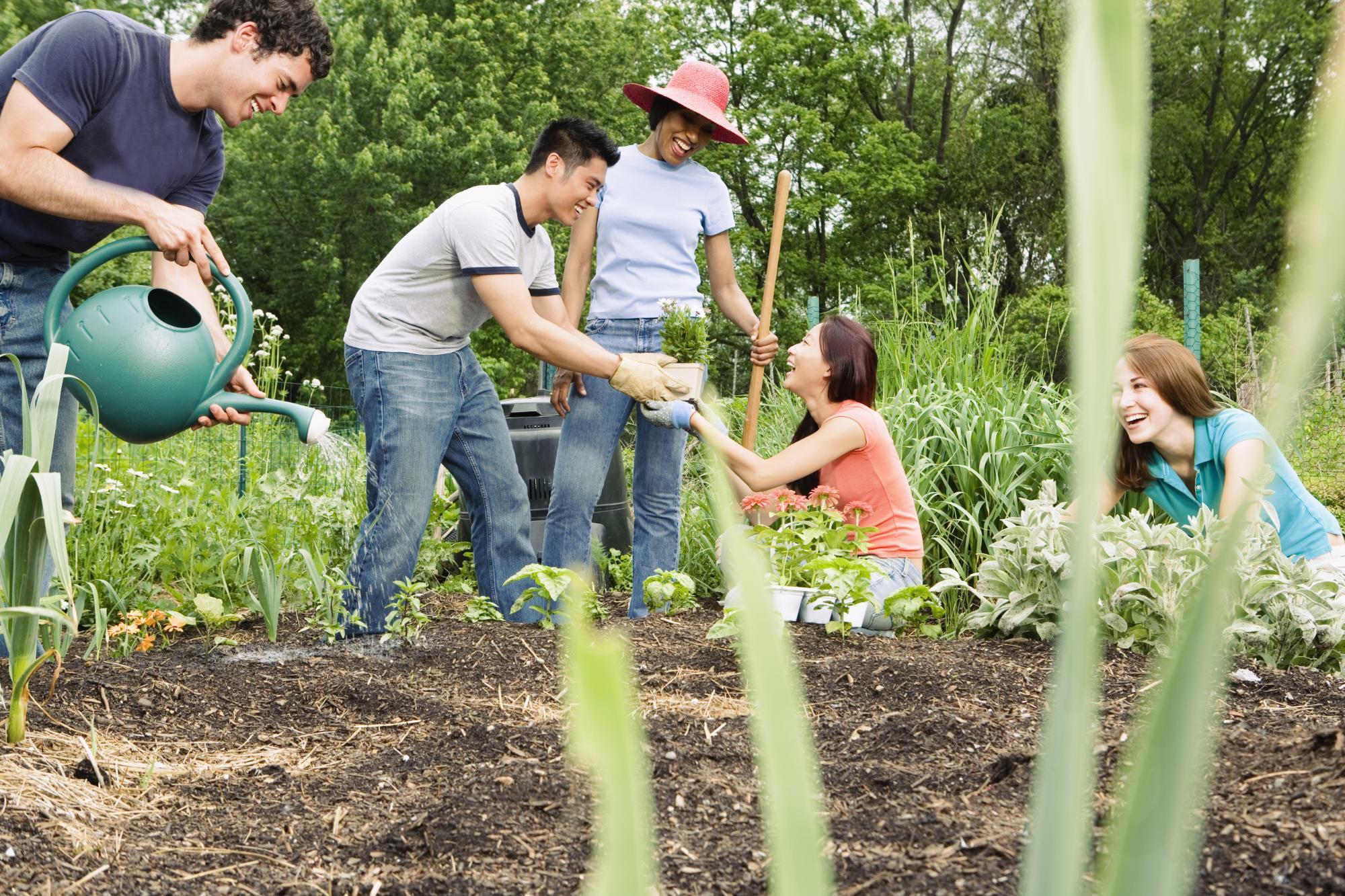 Victory Gardens - Then and Now