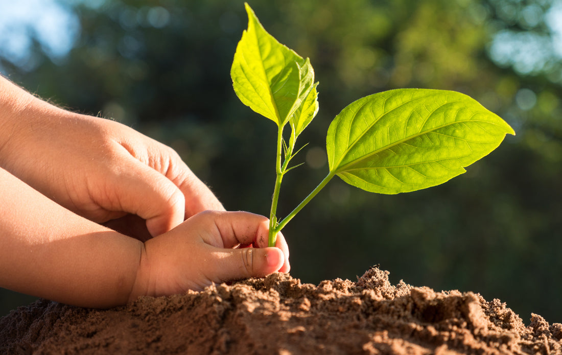 How to Celebrate Earth Day & Promote Mindfulness in Your Kids