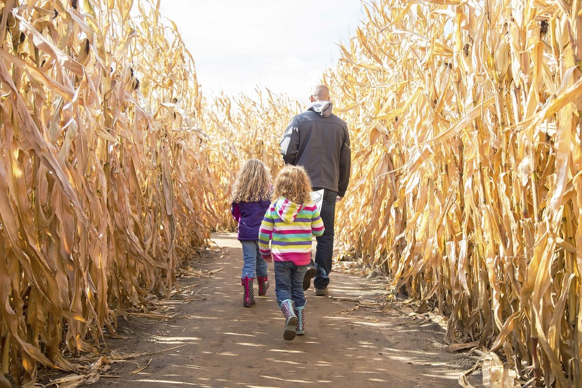 11 Fun Family Activities You Must Do This Fall