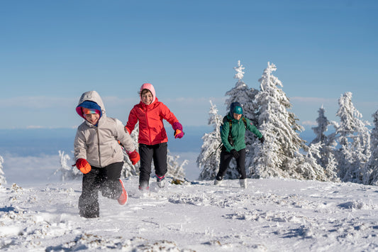 5 Ways To Keep Your Family Active In The Winter