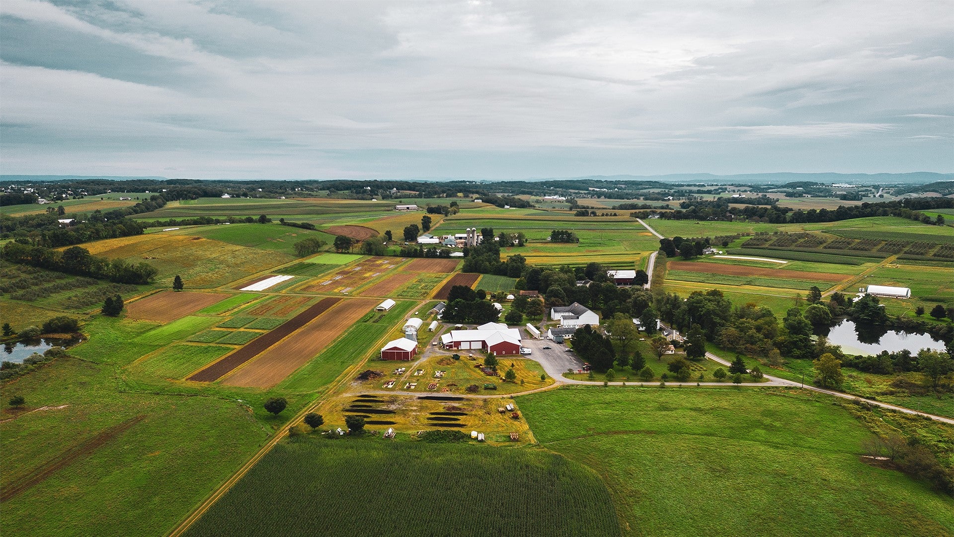 Four countries supporting organic agriculture the most