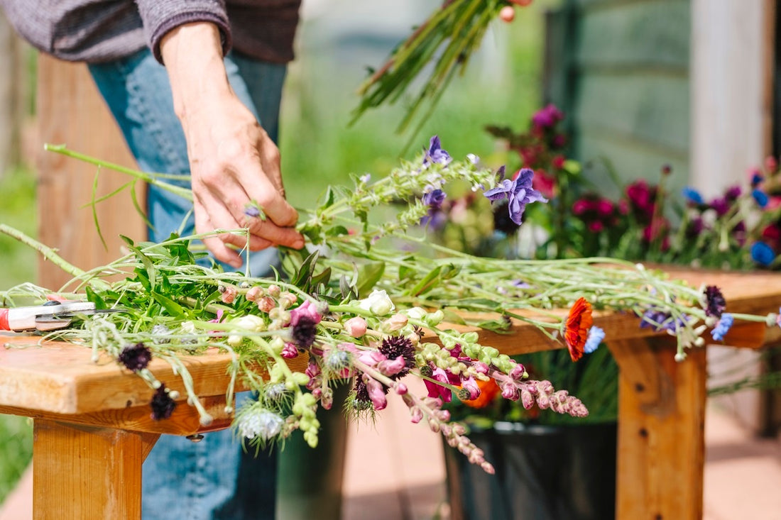 How to Grow an Organic Cut Flower Garden