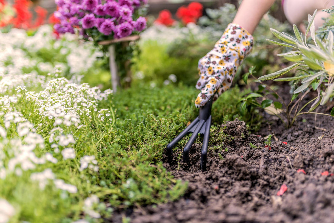 June Organic Gardening Chores